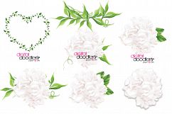 White Hydrangeas &amp; Vines Product Image 3