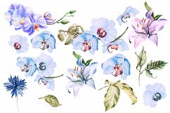 HandDrawn Watercolor Bundle FLOWERS2 Product Image 14