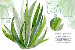 Cactus watercolr clipart collection Product Image 2
