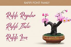 Rafifi Script Product Image 7
