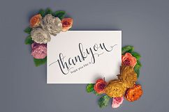 catchy Script Product Image 5