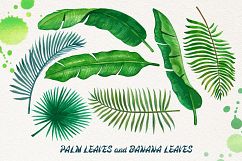 Palm and Banana Leaves Patterns Product Image 7