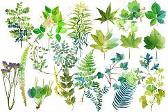 watercolor summer plants Product Image 2