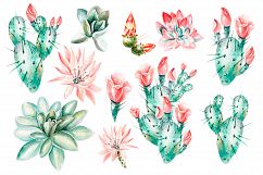 Watercolor SUCCULENTS &amp; CACTUSES Product Image 3