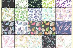 floral Patterns 50, vol. 2 Product Image 2