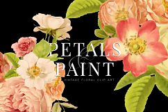 Petals &amp; Paint - Floral Clip Art Product Image 4