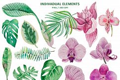 Tropical set Product Image 2