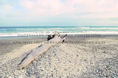 9 Dreamy Pink Beach Photos Product Image 2