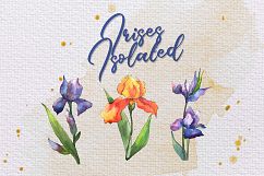 Orange and purple irises PNG watercolor set Product Image 3