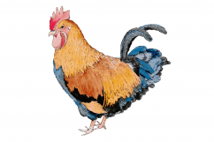 Watercolor Chooks | Watercolor Clip art| PNG/JPEG Product Image 2