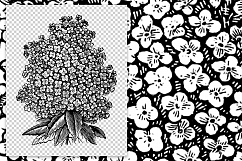 Florals - Vintage Black and White Hydrangea Product Image 2