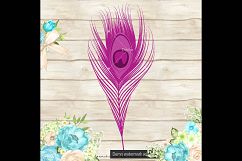 100 Antique Peacock Feather Clip Arts, Antique, Romantic Product Image 4