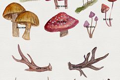 Natural Decay Watercolor Illustrations Product Image 5