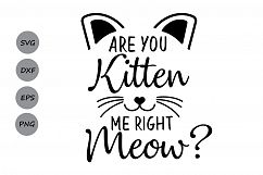 Are you kitten me right meow? SVG, cat svg, kitten svg, Are you kitten me svg, silhouette files, cricut cut files, svg, dxf, eps, png. Product Image 1