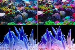 Barrier Reef Lr Presets Product Image 7