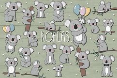 Koalas Product Image 1