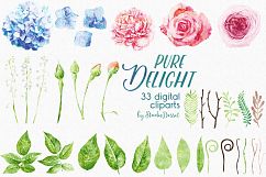 Flowers Watercolor Illustrations Product Image 3