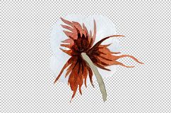 Cotton soft flower PNG watercolor set Product Image 7