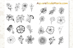 Flower Hand Drawn Vector Silhouette Product Image 3