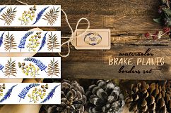 Brake plants PNG watercolor set Product Image 8
