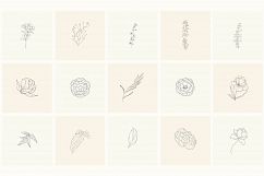 165 Hand Drawn Floral Elements, Frames. Product Image 7