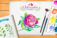 Watercolor flowers and leaves pack Product Image 1