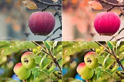 Fruits Lr Presets Product Image 7