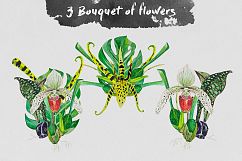 Orchids &amp; Floral Product Image 5
