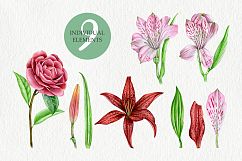 Watercolor Flowers Product Image 3