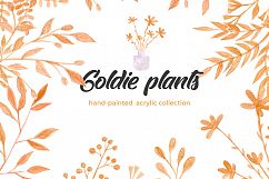 Goldie Plants Collection Product Image 1