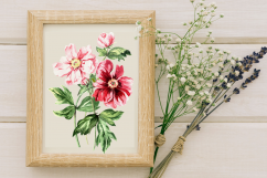 Watercolor Peonies Prints, Patterns &amp; Clip Arts Product Image 5