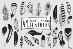 Hand Illustrated Feathers Product Image 1
