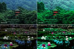 Asia Lr Presets Product Image 4