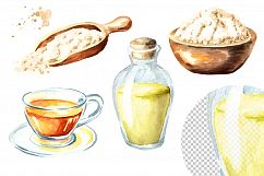 Ginseng. Watercolor collection Product Image 3