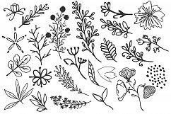 Handsketched floral elements. VOL2 Product Image 4