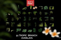 51 Tropic Tree Branch Photo overlays Product Image 3
