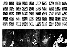 Only Paint Backgrounds Bundle Product Image 22