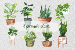 Watercolor Indoor Plants Clip Art Set Product Image 4