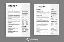 Flipped Resume / CV Product Image 4