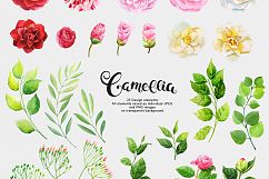 Camellia watercolor collection Product Image 8