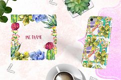 Succulents PNG watercolor set   Product Image 5