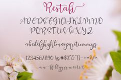 Restafi Script Product Image 5