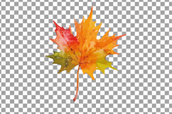 Autumn leafs watercolor clip art pack, watercolor fall frame Product Image 3