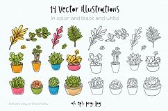 Succulents 14 vector illustrations Product Image 2