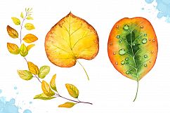 Autumn leaves. Watercolor set. Product Image 6