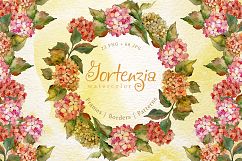 Gortenzia PNG watercolor flower set Product Image 1