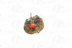 Watercolor Chinese Lantern clip art pack, Physalis alkekengi Product Image 12