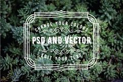PSD Overlays Labels, Frames, Banners Product Image 3