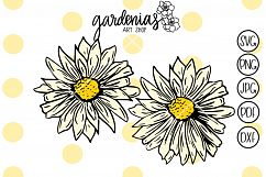 Daisy Daisies Product Image 1