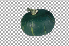 Watercolor pumpkin clip art pack, Pumpkin plant and flowers Product Image 16